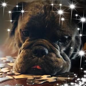 Meet your Posher, Catlin